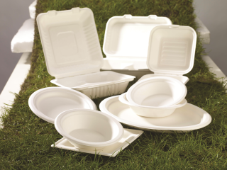 BAGASSE PLATES AND CONTAINERS 